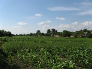 Яхны - Последние фото