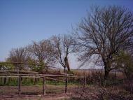 Комишівка з panoramio.com