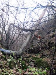 Картушине з panoramio.com