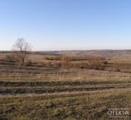 Завітне з panoramio.com