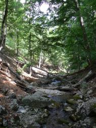 Підгородне з panoramio.com - Подгороднее