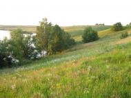 Старостинці з panoramio.com