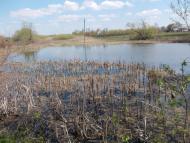 Червоний Орлик з panoramio.com