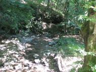 Зарічне з panoramio.com