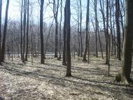 Новий Майдан з panoramio.com