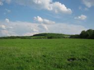 Олександрівка з panoramio.com