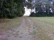 Рівнинне з panoramio.com