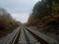 Вільхівчик з panoramio.com