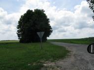 Ракова з panoramio.com