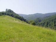 Сіль з panoramio.com