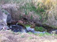 Мироцьке з panoramio.com