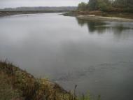 Купчичі з panoramio.com