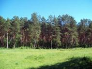 Мала Снітинка з panoramio.com