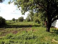 Єлизаветівка з panoramio.com