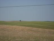 Поліське з panoramio.com