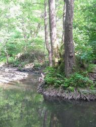 Стрипа з panoramio.com