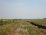 Бандурівка з panoramio.com