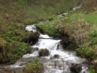 Біласовиця з panoramio.com