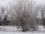 Чулаківка з panoramio.com