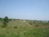 Велика Слобідка з panoramio.com