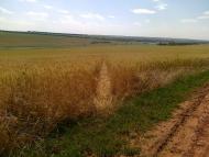 Широка Балка з panoramio.com