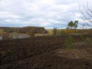 Журавлинка з panoramio.com