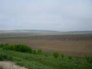 Нестерівці з panoramio.com