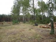 Рудня-Гацьківка з panoramio.com