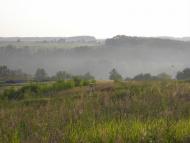 Музичі з panoramio.com