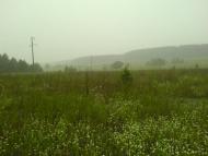 Єлівка з panoramio.com