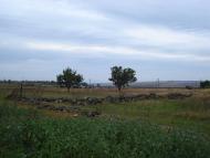 Булдинка з panoramio.com