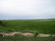 Білозерка з panoramio.com