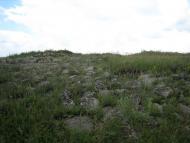 Мала Мартинівка з panoramio.com