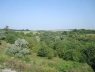 Вороновиця з panoramio.com