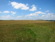 Підгородне з panoramio.com