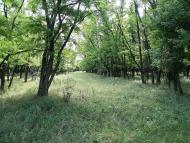 Княгинівка з panoramio.com