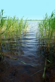 Луко з panoramio.com