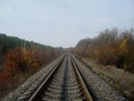 Вільхівчик з panoramio.com