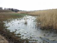 Любимівка з panoramio.com