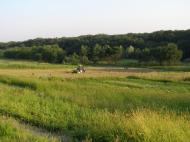 Підлісне з panoramio.com - Pidlisne