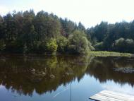 Мізяківська Слобідка з panoramio.com