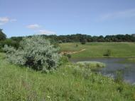 Федорівка з panoramio.com