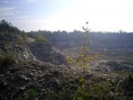 Бушеве з panoramio.com - Бушево