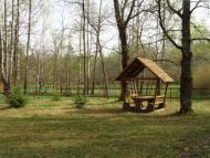 Скулин з panoramio.com