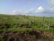 Конів з panoramio.com