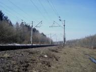 Коричинці з panoramio.com