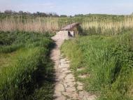 Дмитрівка з panoramio.com