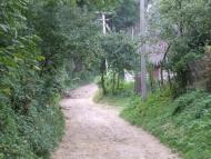 Нараїв з panoramio.com