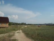 Осещина з panoramio.com - Осещина