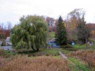 Загірське з panoramio.com